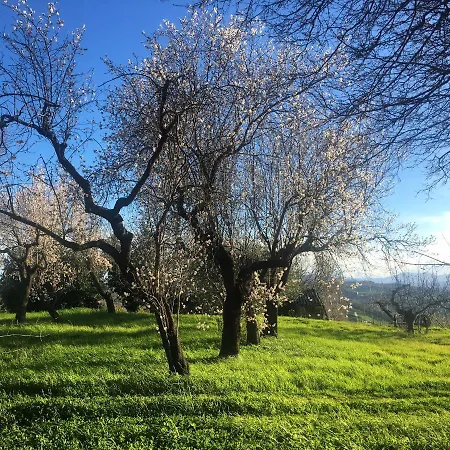 Курортный комплекс Controvento Казальбордино