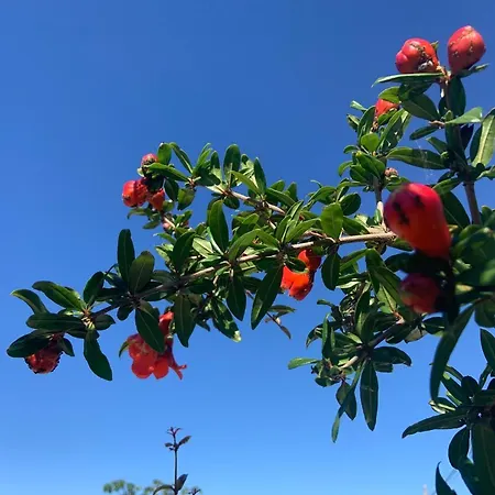 Resort Controvento 3*