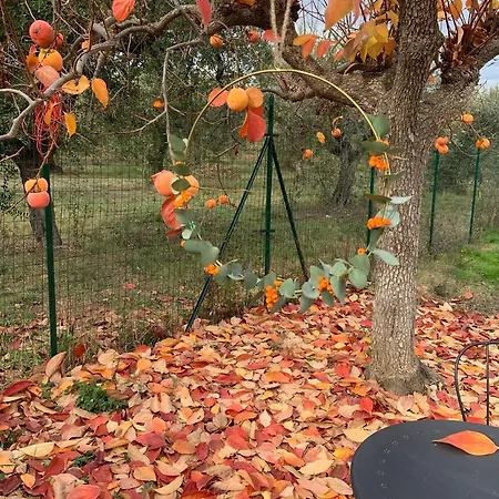 Controvento Казальбордино