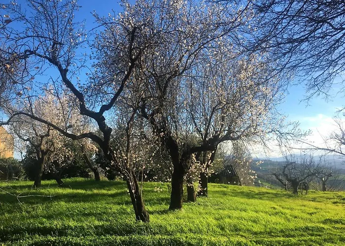Курортный комплекс Controvento Казальбордино
