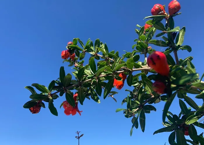 Rezort Controvento 3*