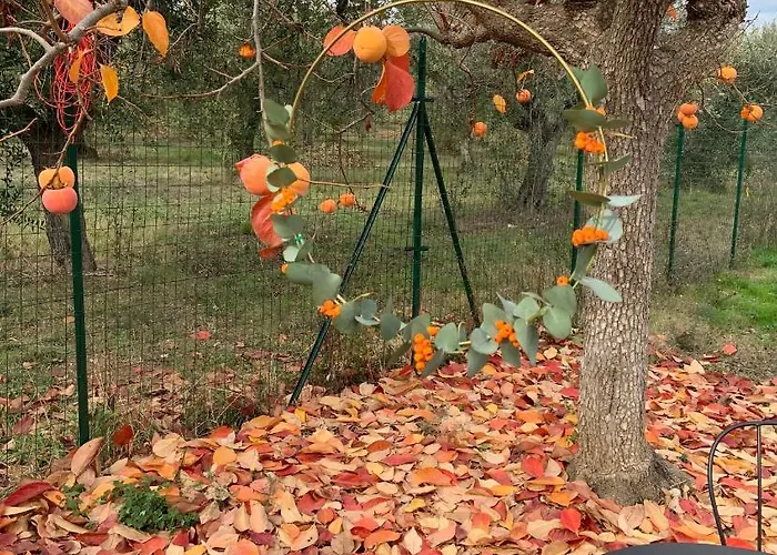 Controvento Казальбордино