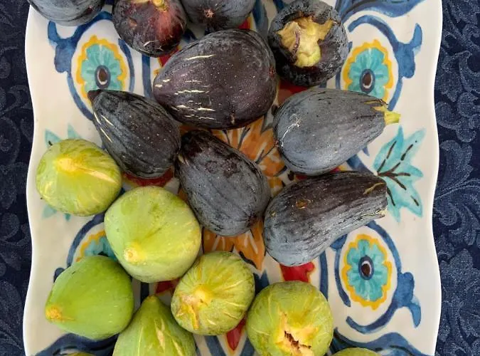 Controvento Rezort 3*