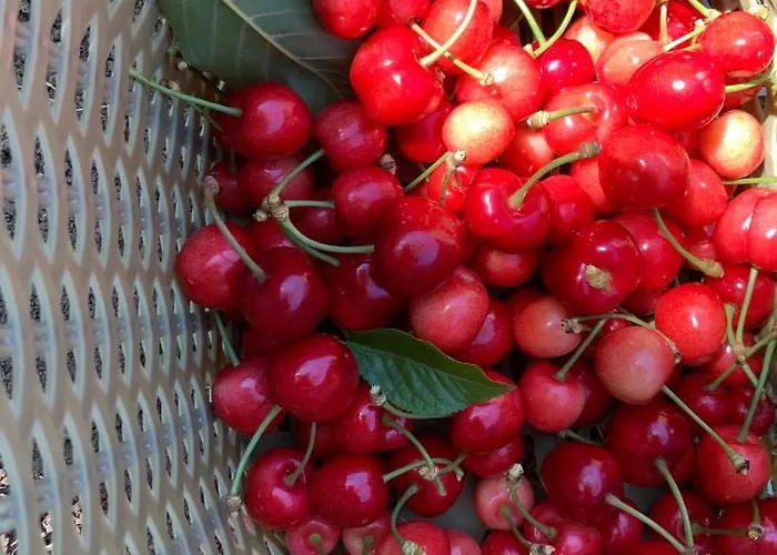 Rezort Controvento Casalbordino